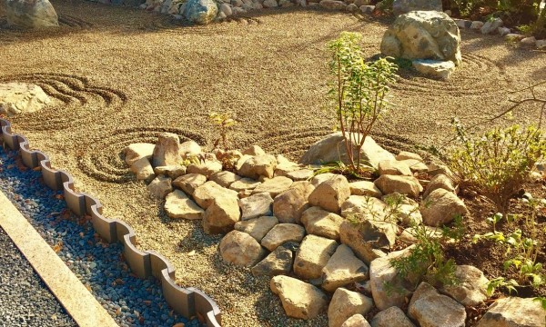 石庭のディテール　石庭と言うと日本庭園のイメージですが、既存樹であったグリーンコーンを移植して軸に使ったり、丸森石をアクセントで並べてみたり、植物や石/砂利の配色などで、昔ながらの石庭とはまた違った雰囲気を出せます。