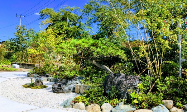 「もてなしの庭」彩りの庭と背中合わせになり、こちらはより和風なスタイル。石、松、モミジを中心とした庭。